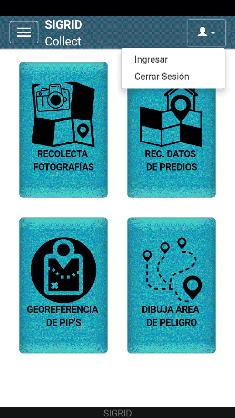 SIGRID imagen 4